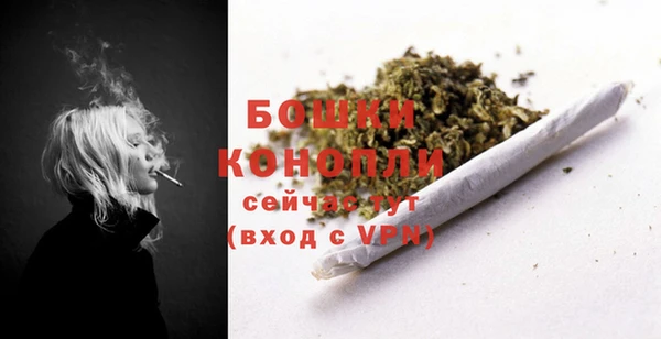 гидра Верея