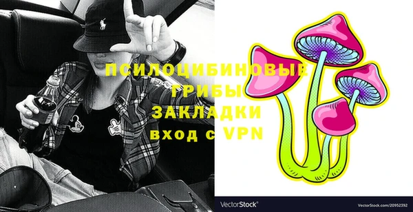 гидра Верея