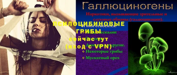 гидра Верея