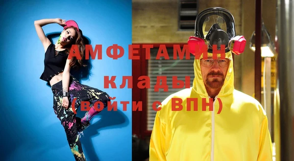 гидра Верея