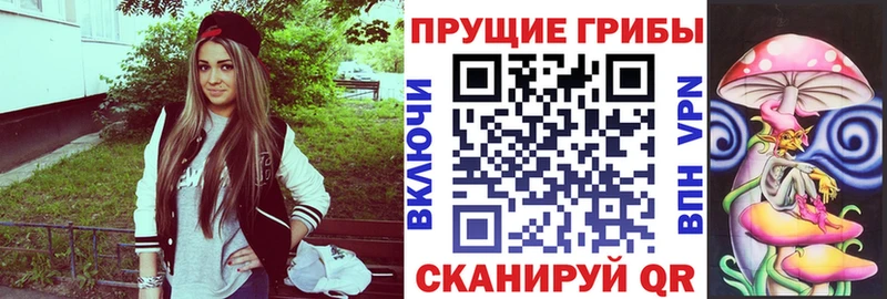 Галлюциногенные грибы мицелий  где найти   Наволоки 